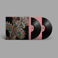 Remember: Vinyl 2LP