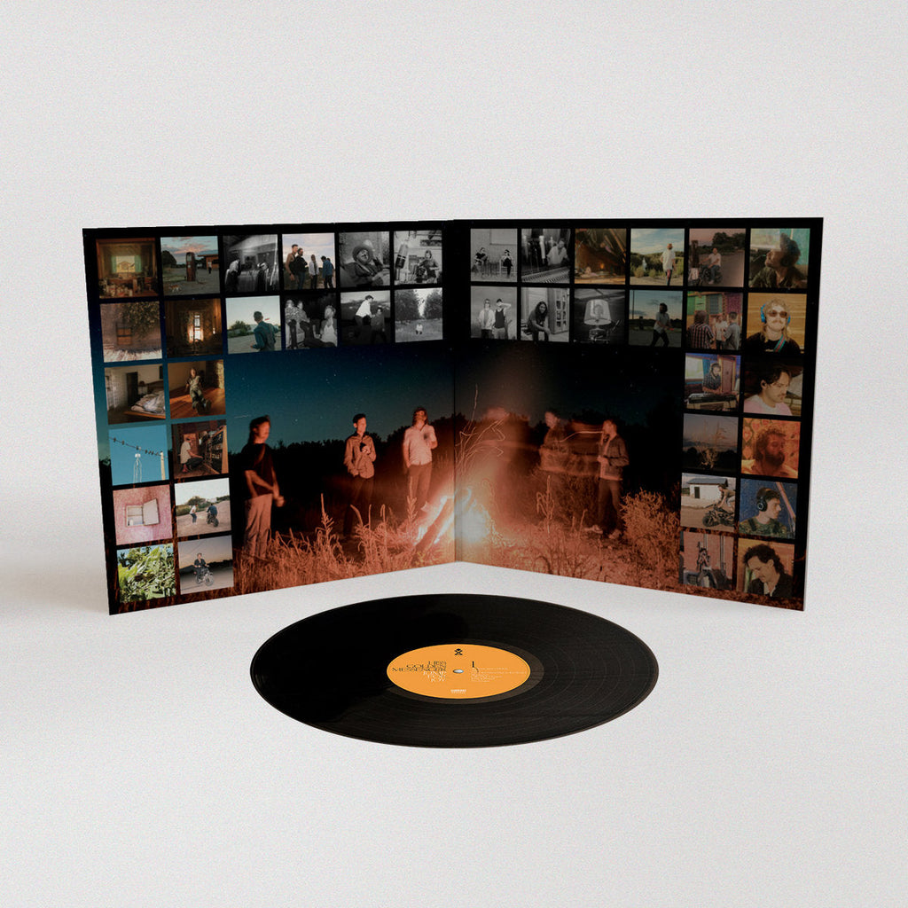 Jump For Joy: Vinyl LP