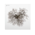 Tree: CD