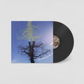 Rooting For Love: Vinyl LP