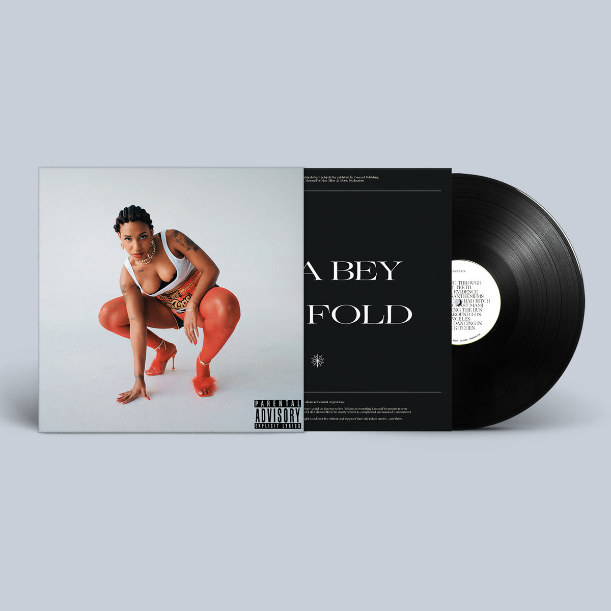 Ten Fold: Vinyl LP