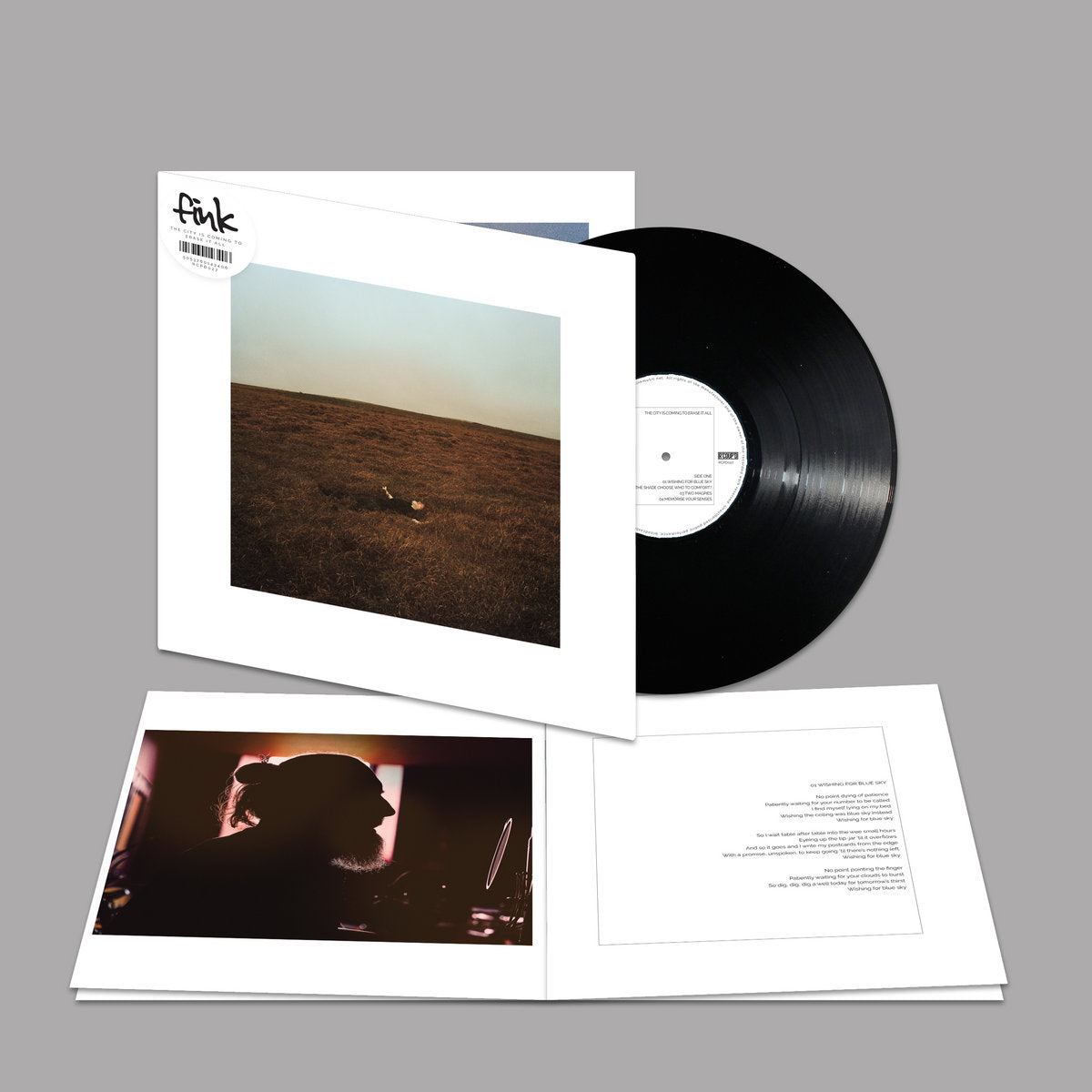 The City Is Coming To Erase it All: Gatefold Black Vinyl LP