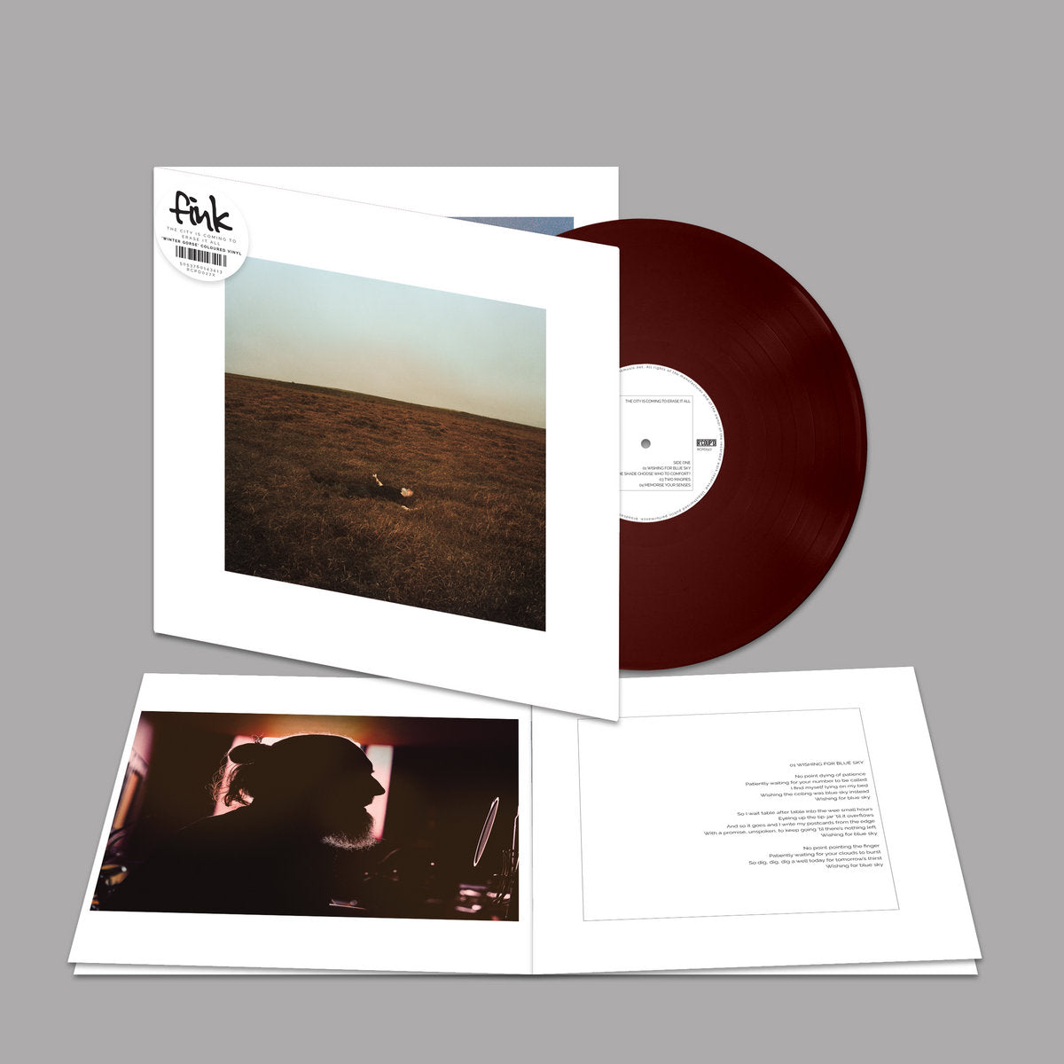 The City Is Coming To Erase it All: Gatefold Winte Gorse Vinyl LP