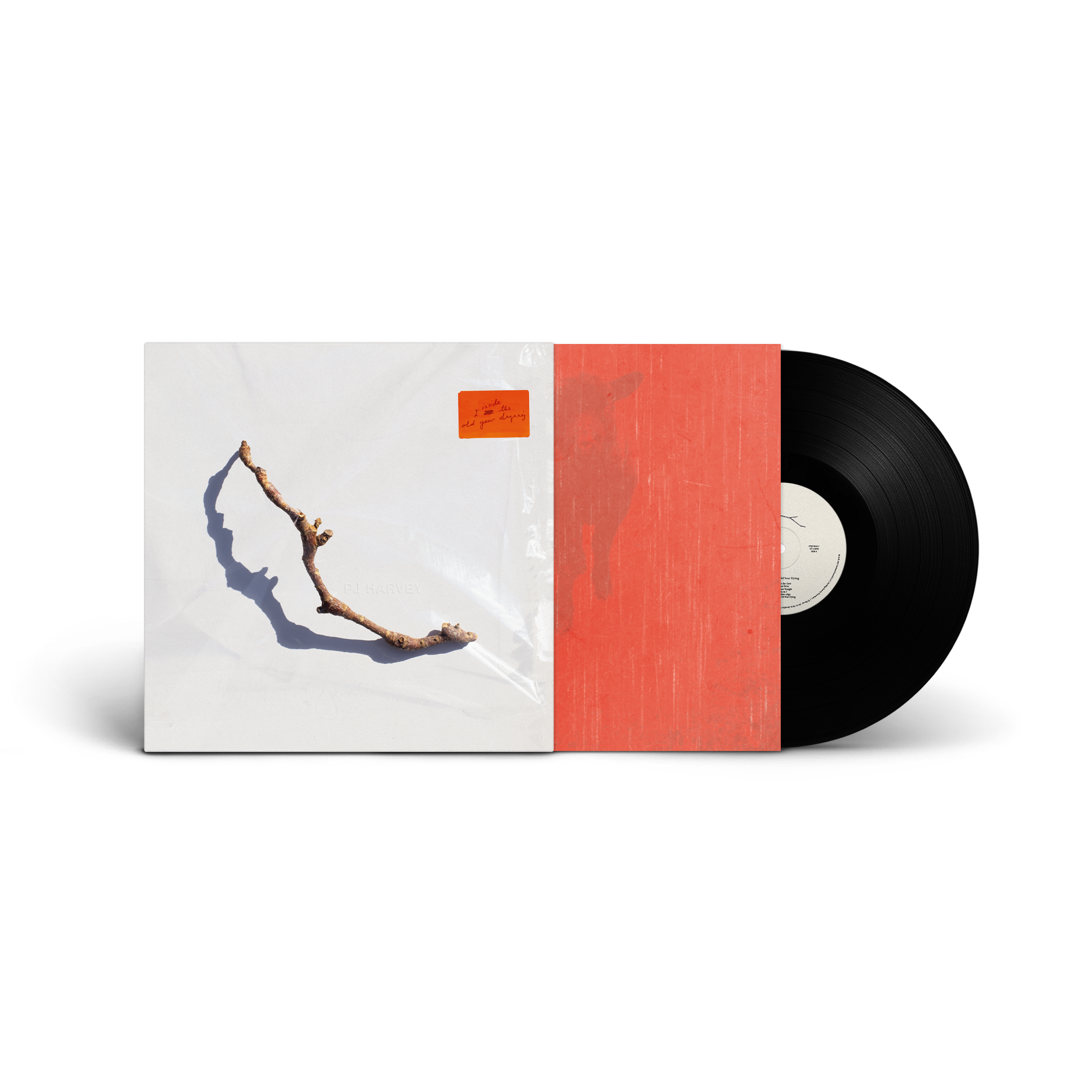 I Inside the Old Year Dying: Vinyl LP