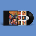 An Inbuilt Fault: Vinyl LP