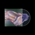 The Warping: CD