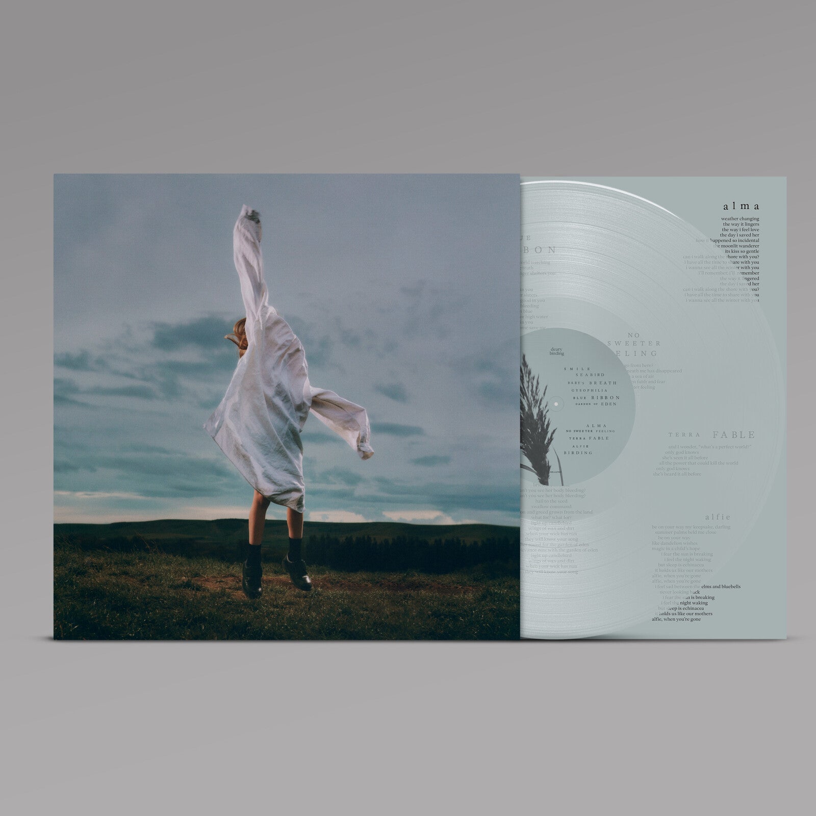 Birding: Transparent Pale Blue Vinyl LP