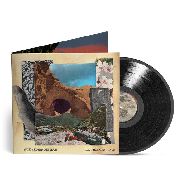 Walk Around The Moon: Vinyl LP