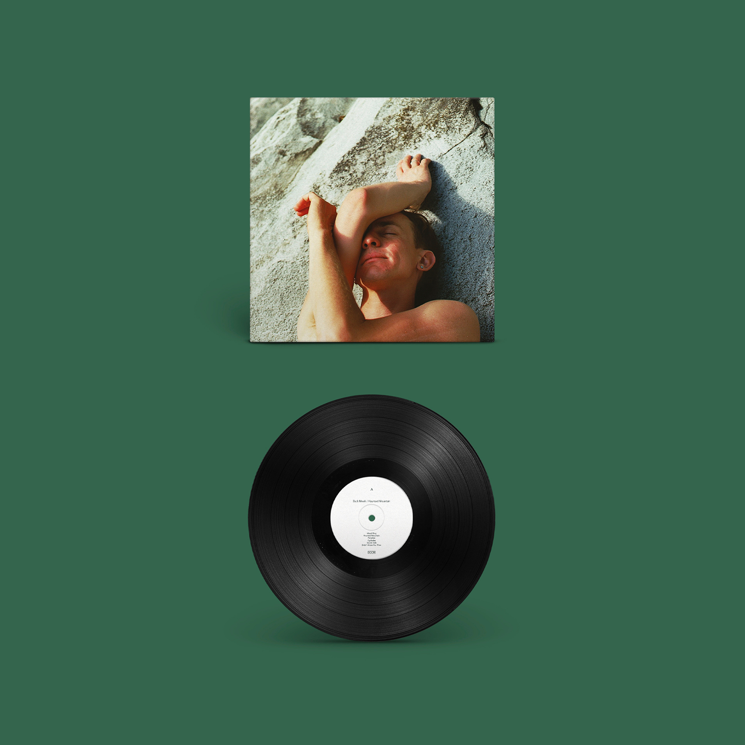 Haunted Mountain: Vinyl LP