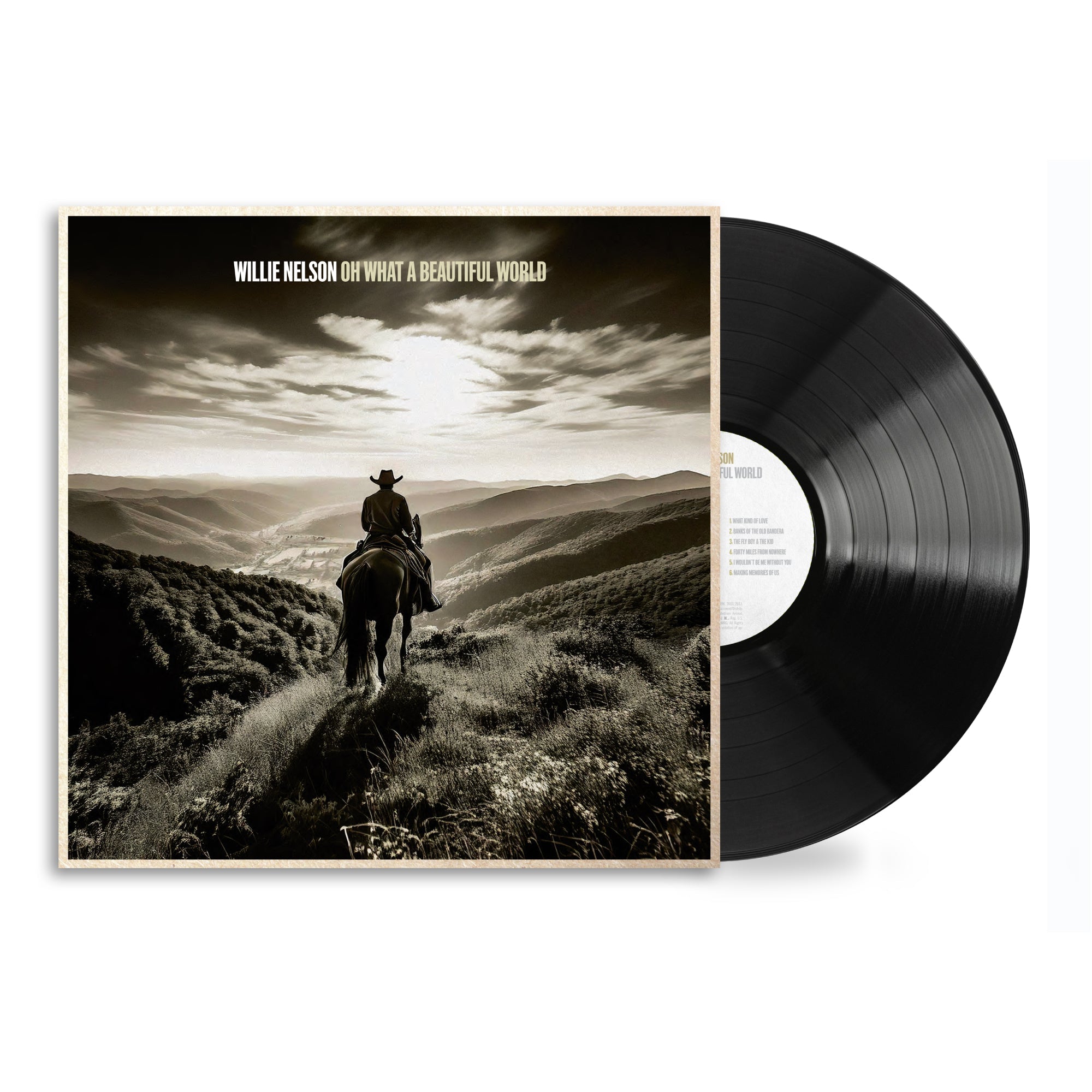 Oh What A Beautiful World: Vinyl LP