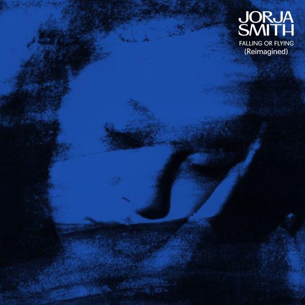 falling or flying (Reimagined): Vinyl LP