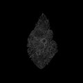 Turnar: Black Vinyl LP