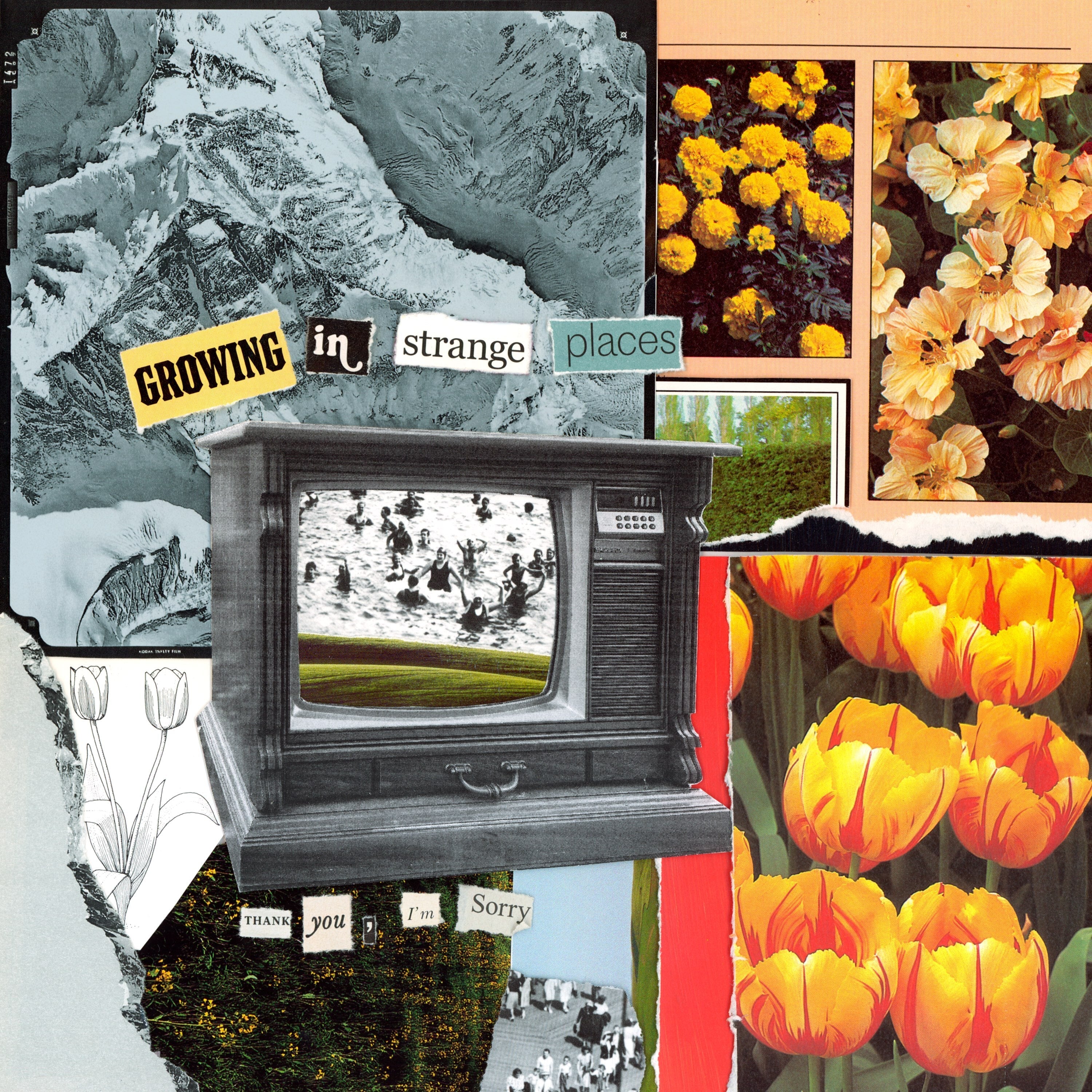 Growing In Strange Places: Orange Crush Colour Vinyl LP