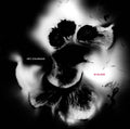 In Blood: CD