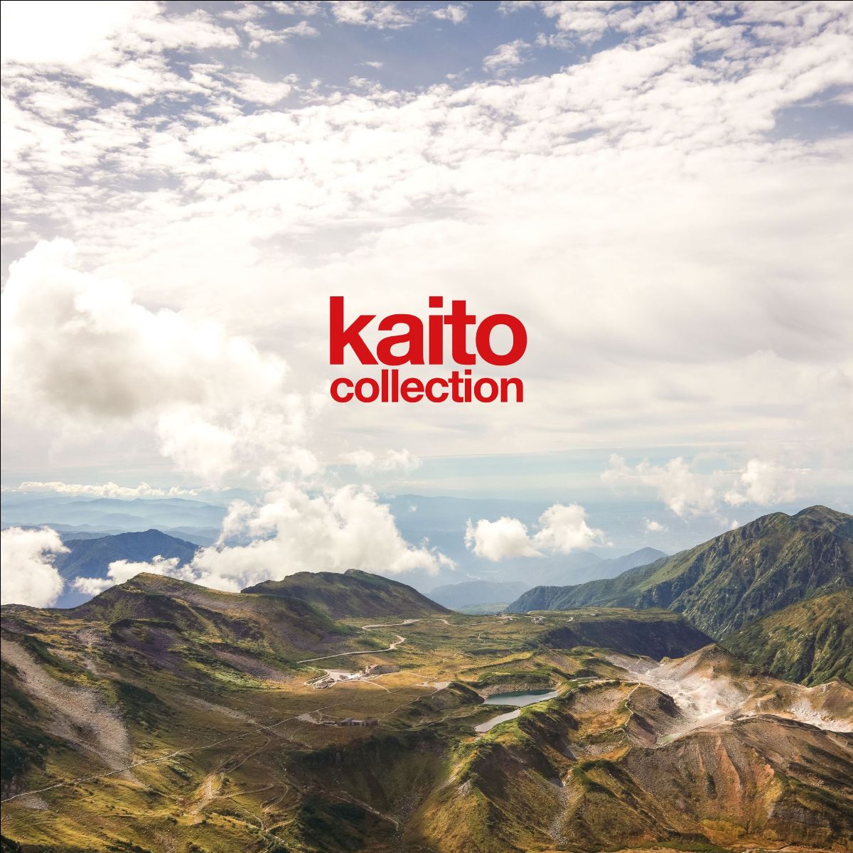 Collection: Opaque Red Vinyl LP