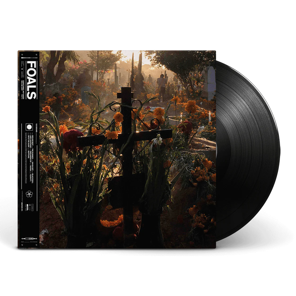 Everything Not Saved Will Be Lost, Part 2: Vinyl LP