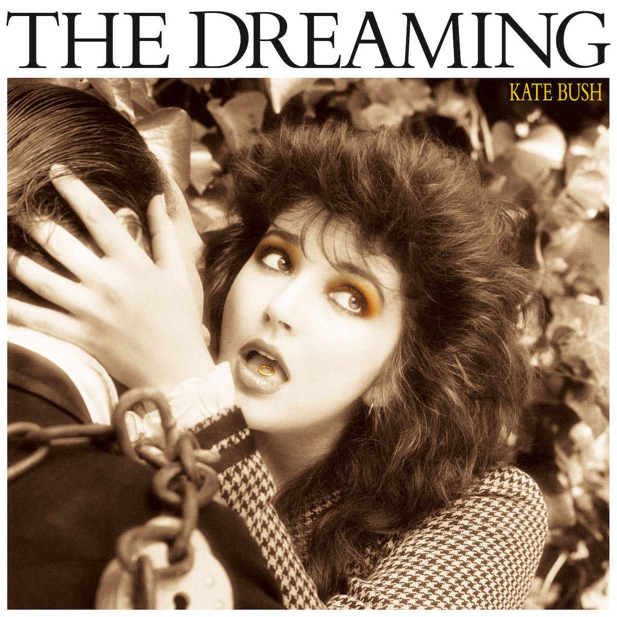 The Dreaming (2018 Remaster): Vinyl LP