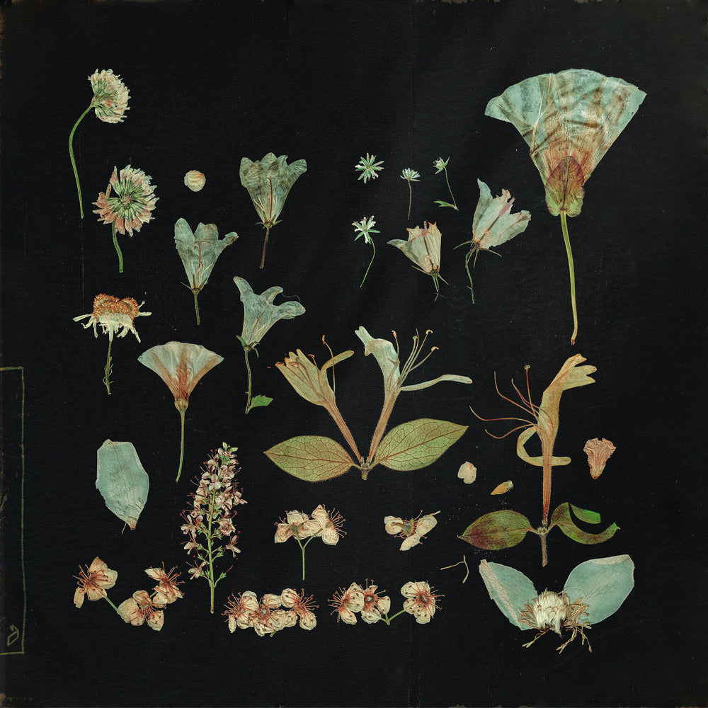 When The Quiet Comes: Cream Vinyl 2xLP
