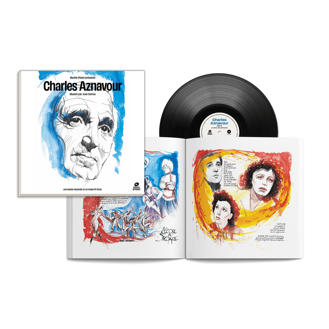 Vinyl Story: Vinyl LP