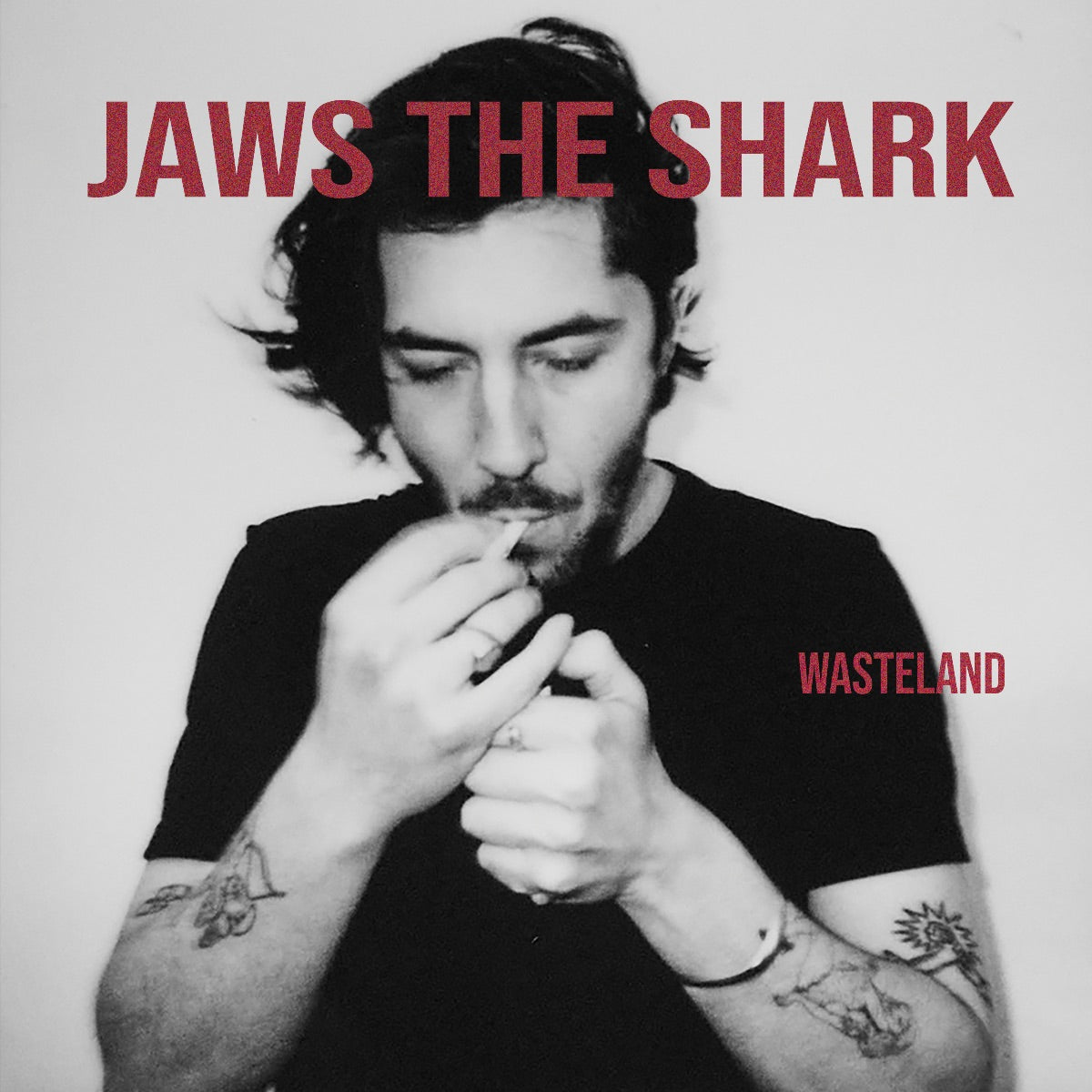 Wasteland: CD