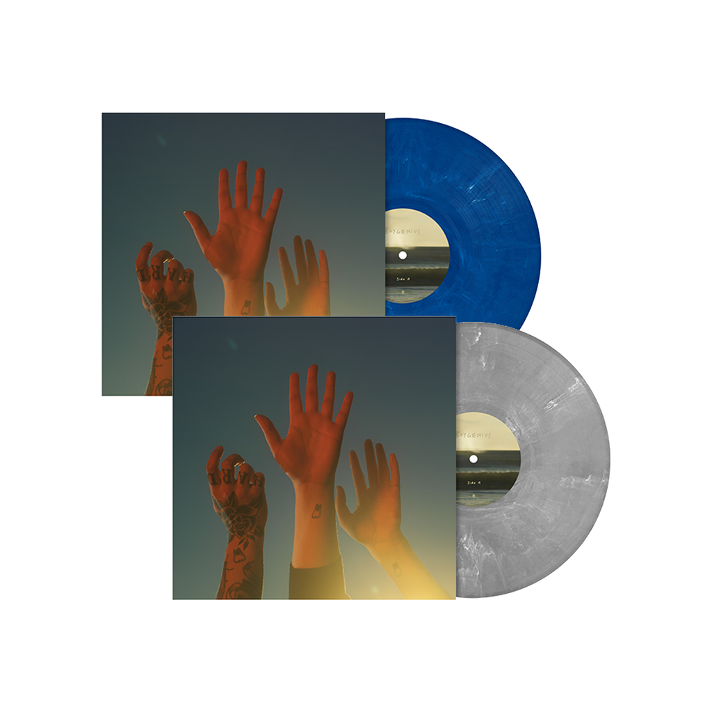 the record: Limited Blue Vinyl LP + Limited Silver Vinyl LP