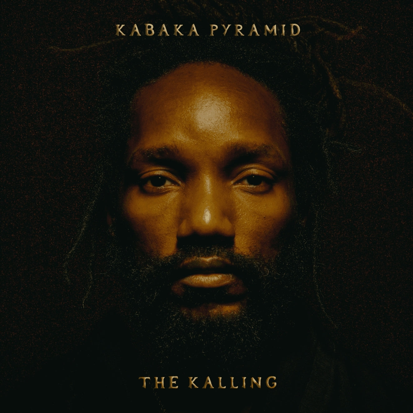The Kalling Vinyl LP