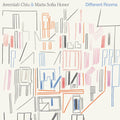 Different Rooms: Battiato Brick Vinyl LP