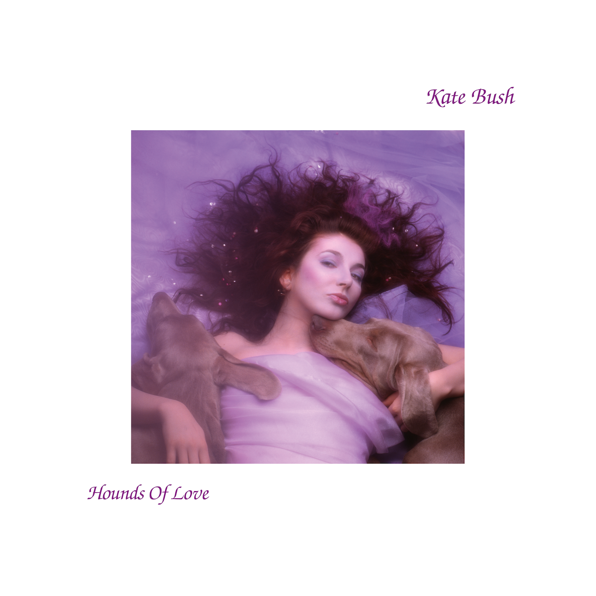 Hounds of Love (2018 Remaster): Vinyl LP