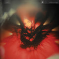 Portrait of My Heart: Black Vinyl LP