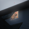 Crave: Vinyl LP