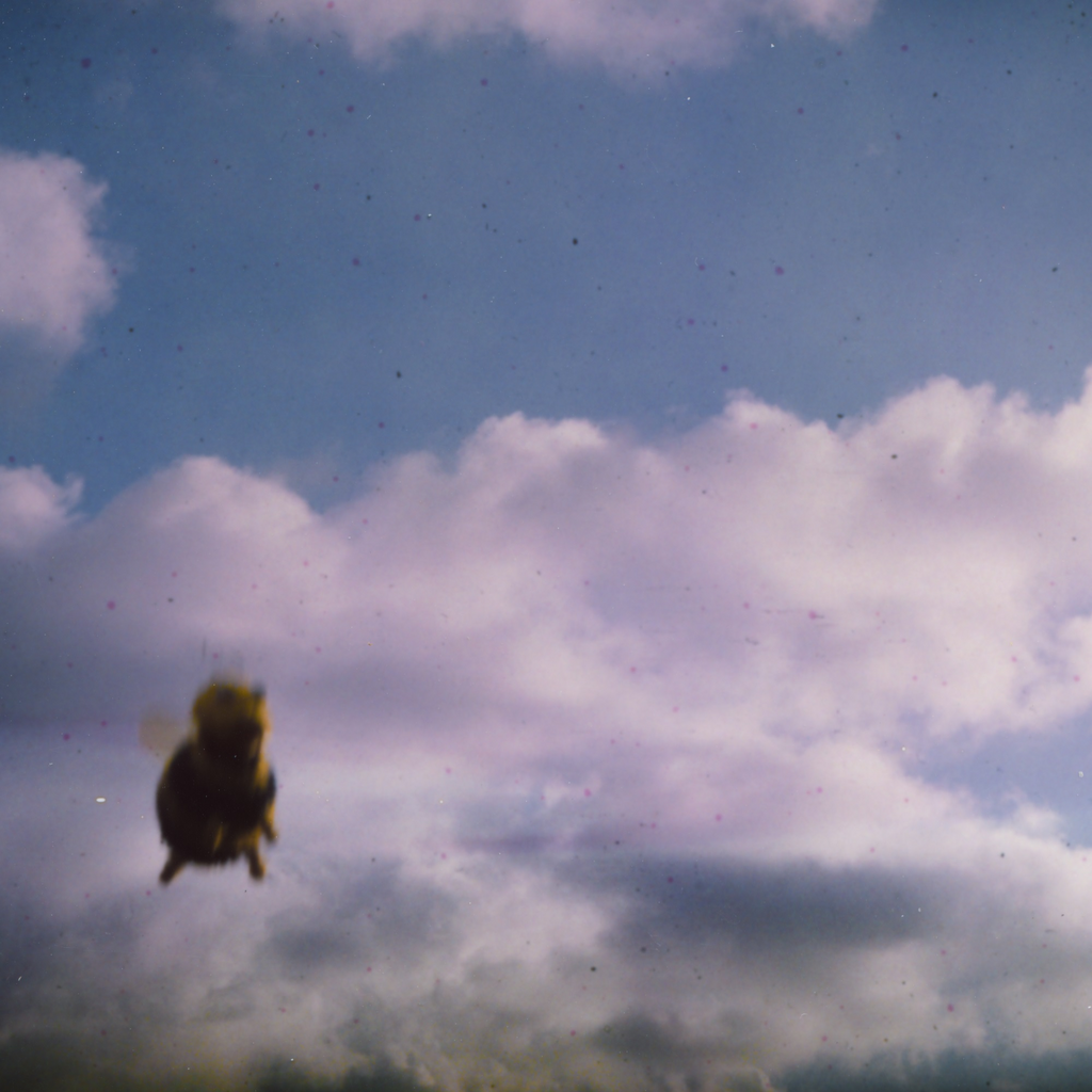 Stung! 'Splatter Bee' Vinyl LP