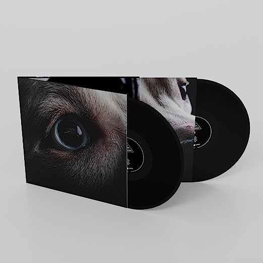 The Dark Side of the Moon Redux: Vinyl 2LP