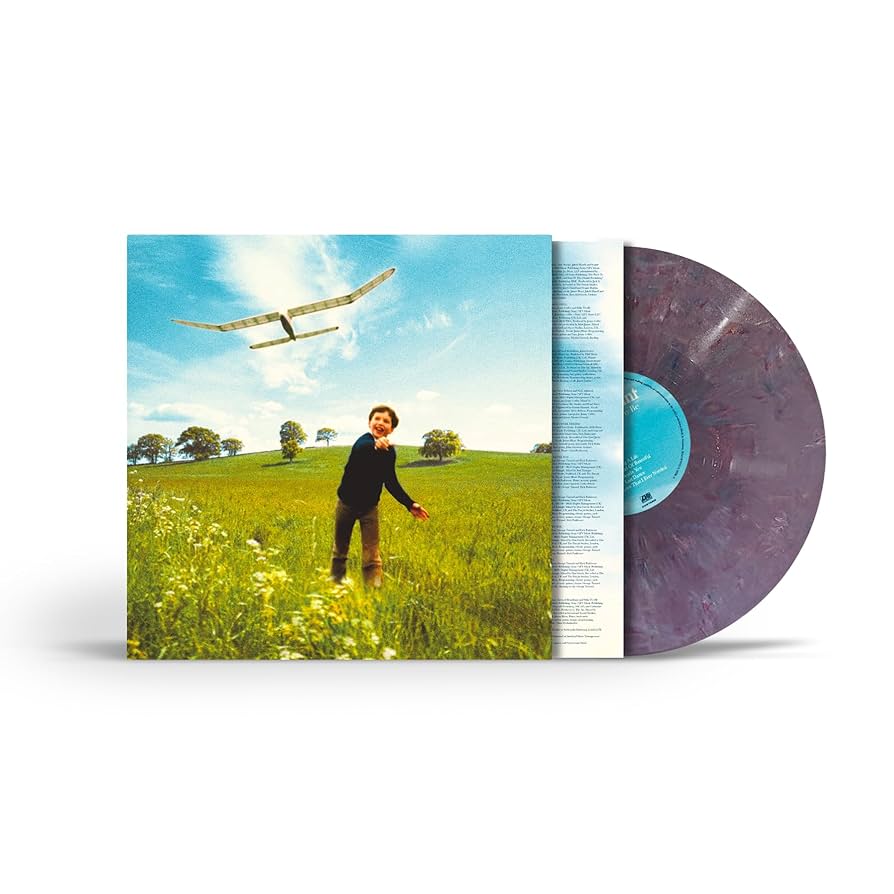 Who We Used To Be: Recycled Colour Vinyl LP