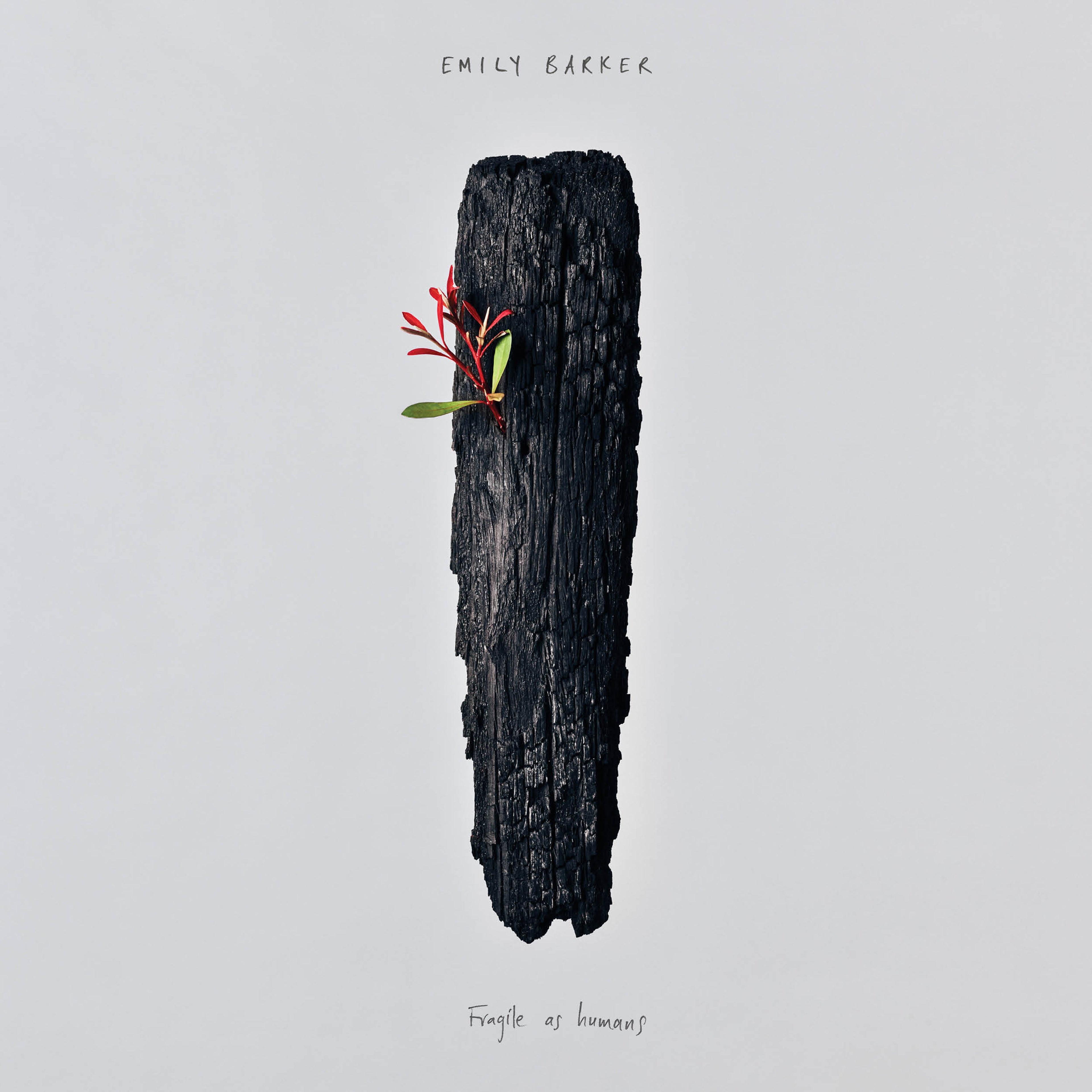 Fragile As Humans: Vinyl LP