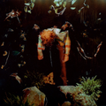 Wormfood: Limited Edition Vinyl LP