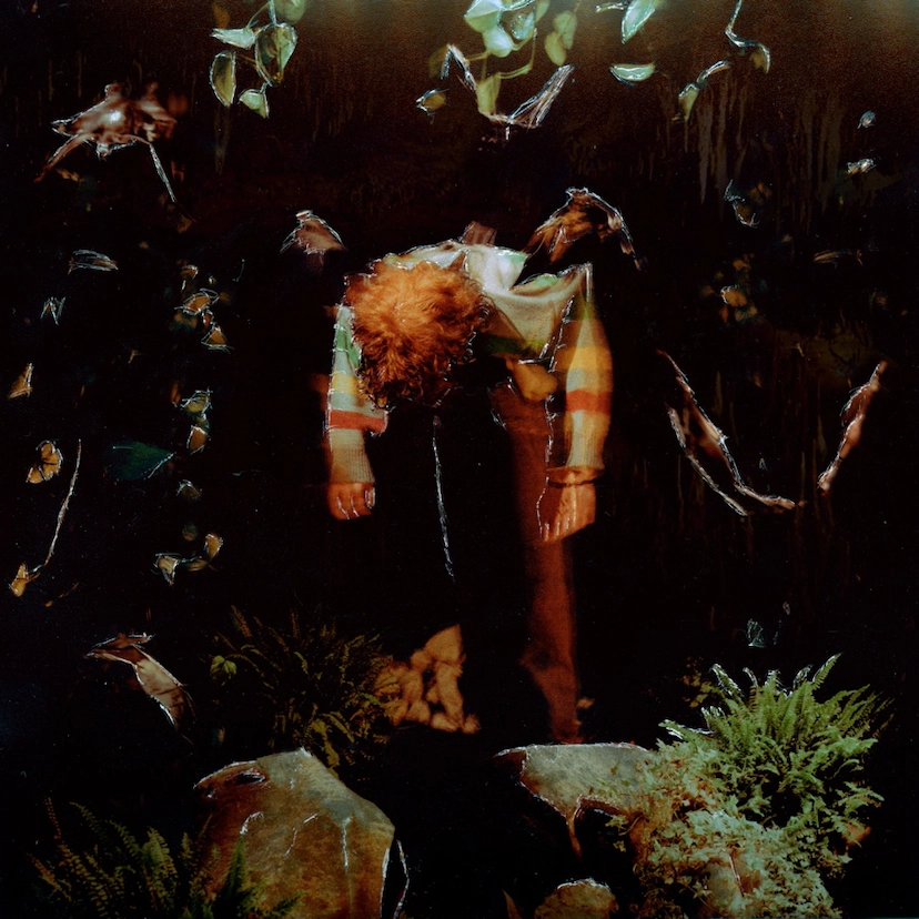 Wormfood: Limited Edition Vinyl LP