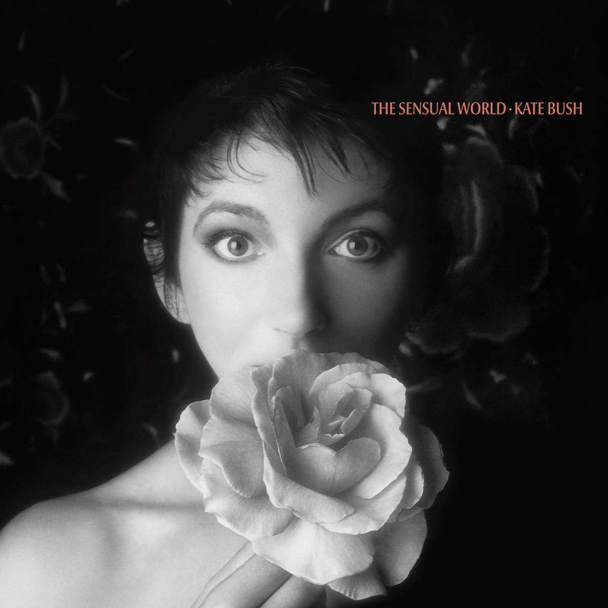 The Sensual World (2018 Remaster): Vinyl LP