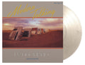 In 100 Years…: Limited Silver Marble Vinyl LP