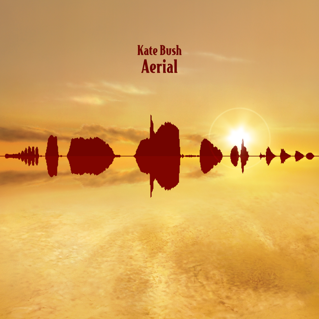 Aerial (2018 Remaster): Vinyl 2LP