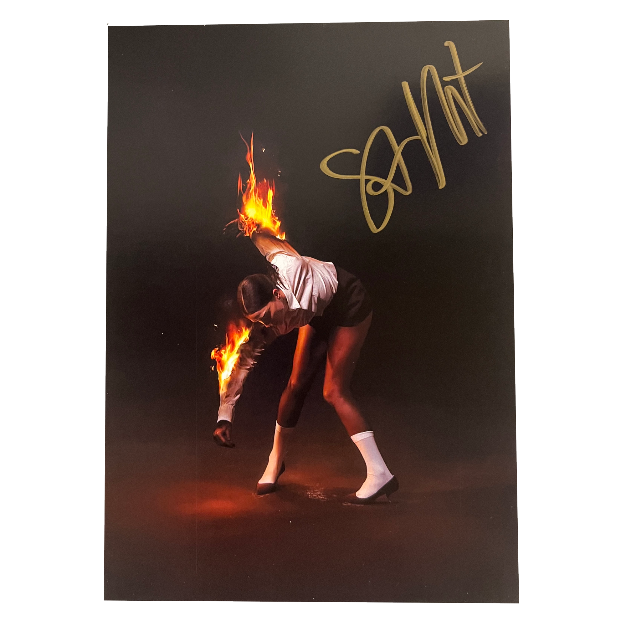 All Born Screaming: Vinyl LP + Signed Art Card