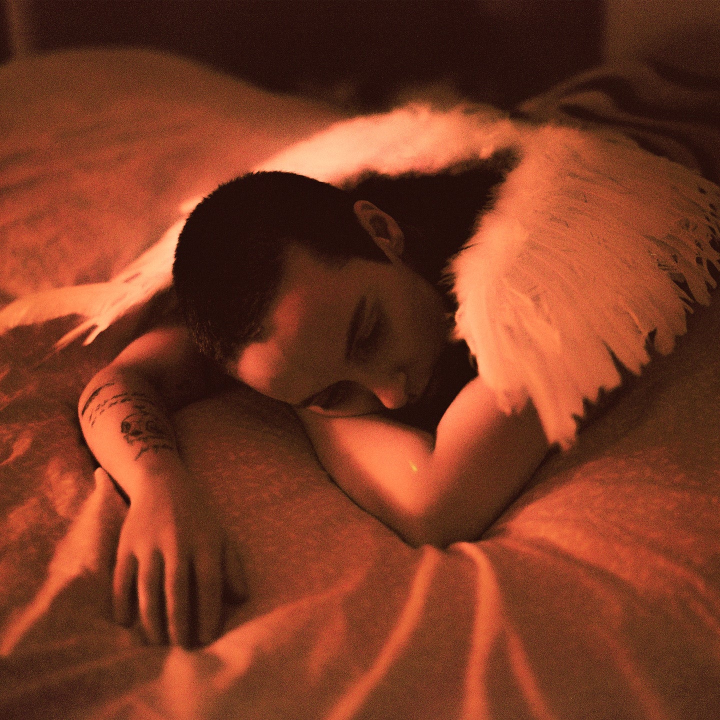 Midnight Butterflies: Signed CD