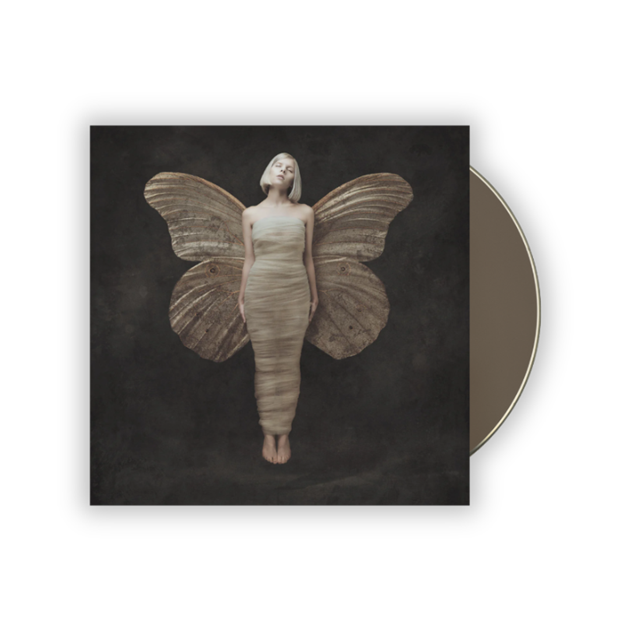 All My Demons Greeting Me as A Friend - CD