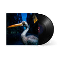 Decoding Birdsong: Black Vinyl LP