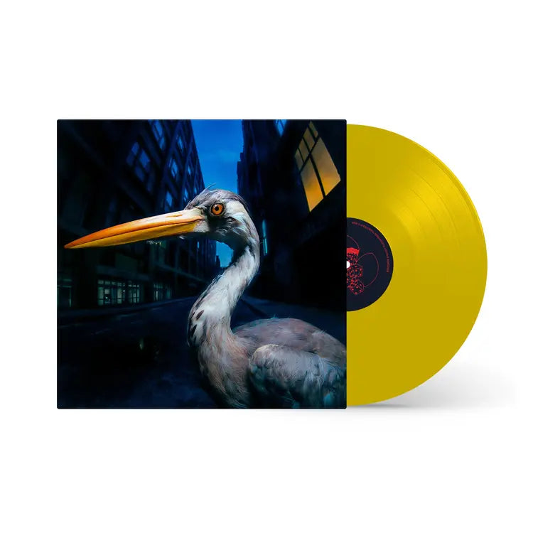 Decoding Birdsong: Beak Yellow Vinyl LP