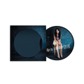 Back To Black (15th Anniversary): Limited Picture Disc Vinyl LP