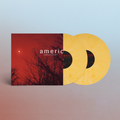 LP 4: Yellow Vinyl 2LP