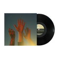 the record vinyl lp [black vinyl]
