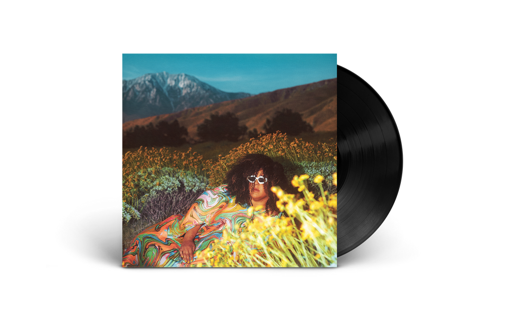 What Now: Vinyl LP