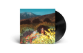 What Now: Vinyl LP