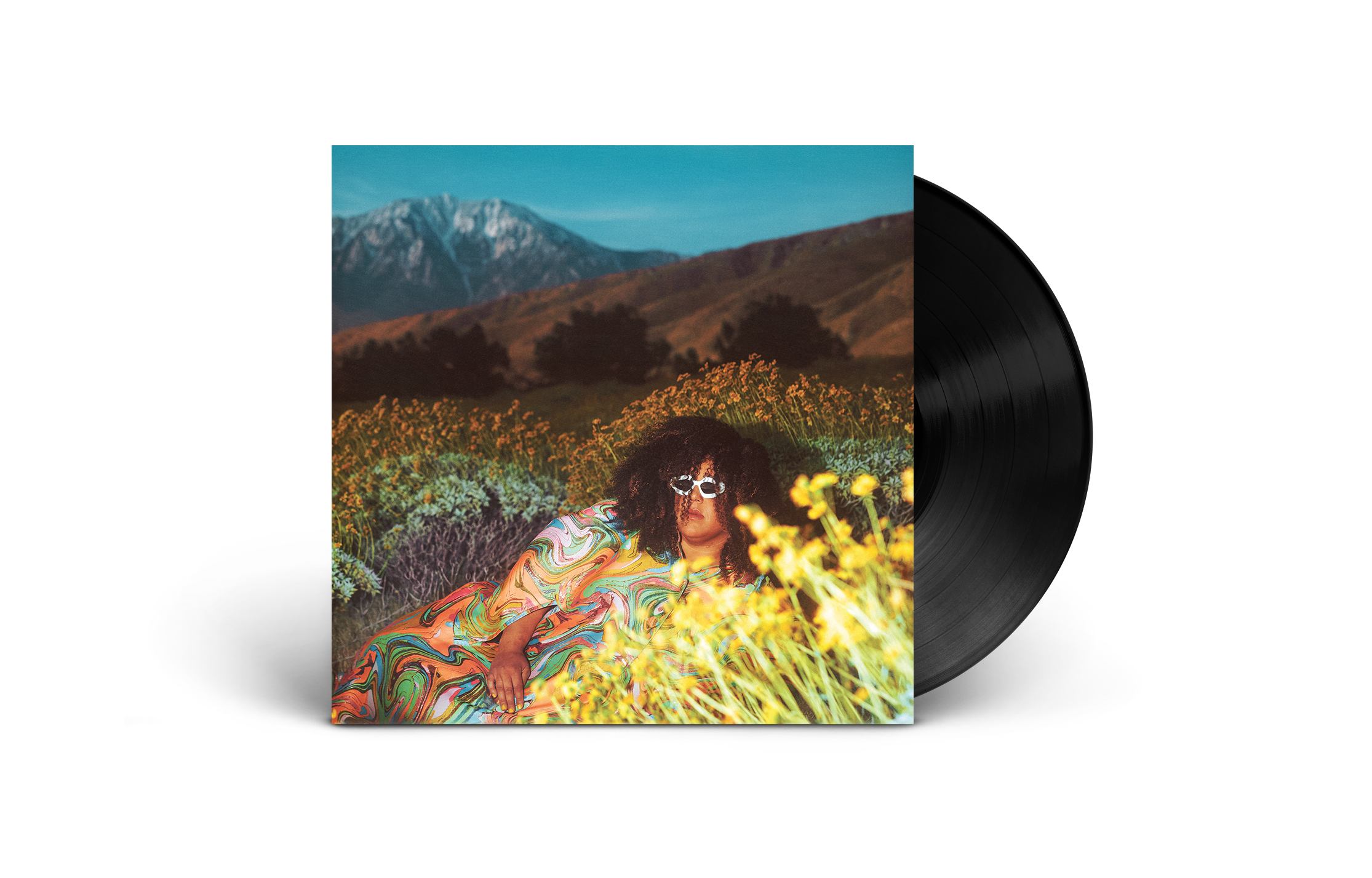 What Now: Vinyl LP